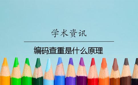 编码查重是什么原理